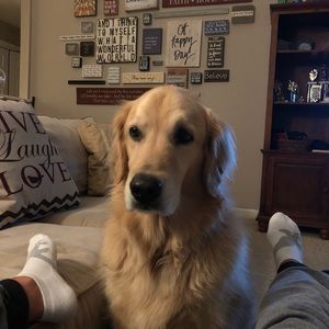 Meet your Posher, Patty